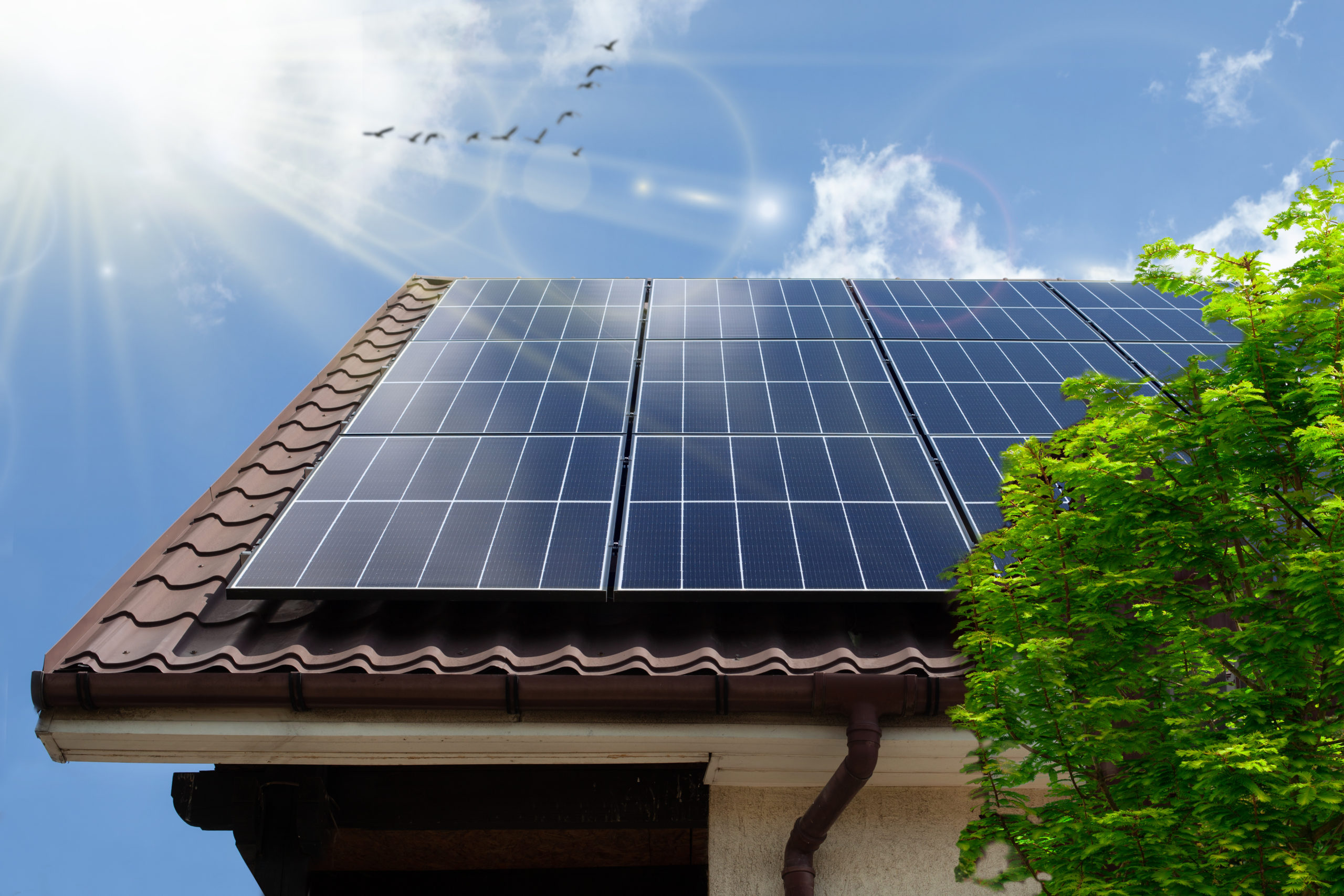 Sunpower - ate33-panneaux solaires-toit avec panneaux solaire ensoleillé